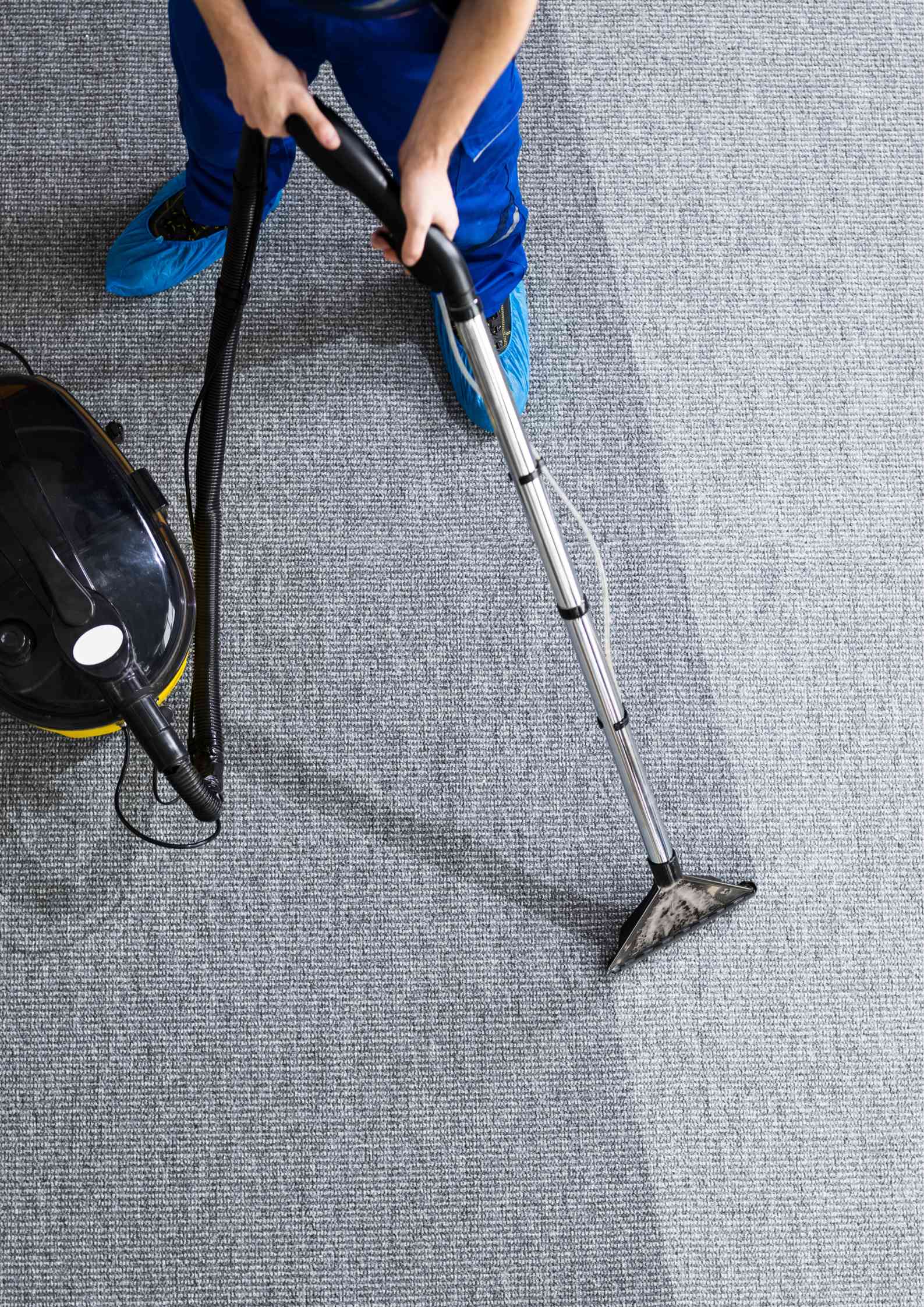 Professional carpet cleaner cost Sydney NSW - Expert carpet cleaning service