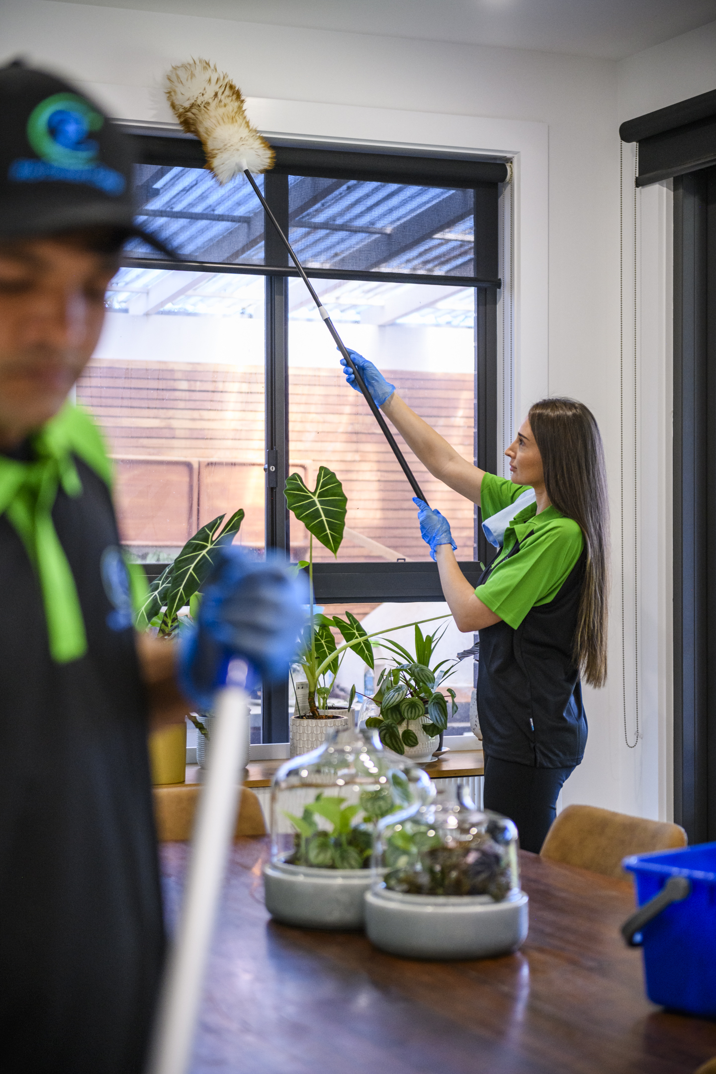 Pro Clean Corp professional banner